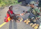 Sentuhan Humanis Marinir di Yahukimo, Borong Hasil Kebun Warga demi Bantu Ekonomi Masyarakat Papua